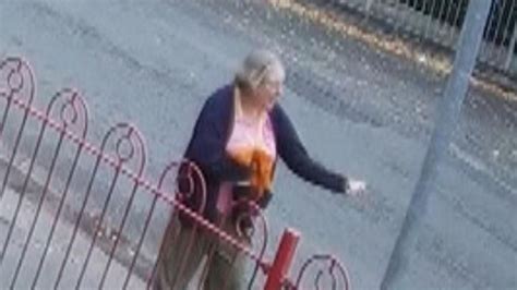 Auriol Grey: Woman who caused cyclist to fall into。